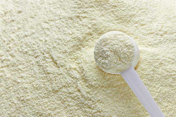 Close up of a scoop of powdered dairy commodities